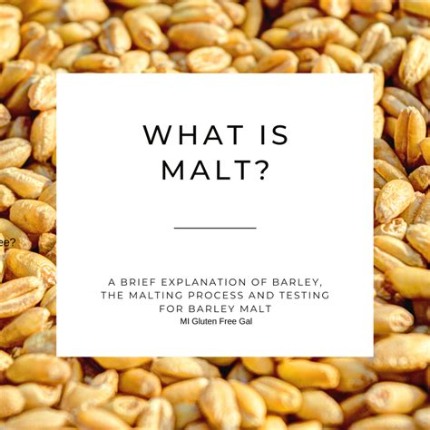 is malted barley flour gluten free|is malt flavor gluten free.